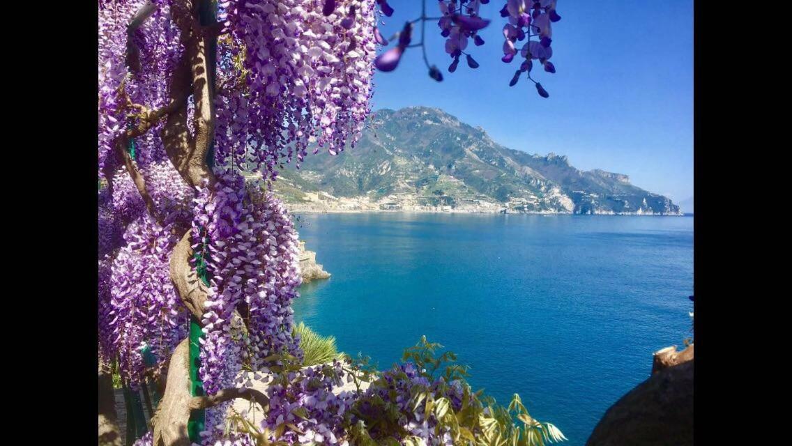 Villa Petit Ludovica Ravello Zewnętrze zdjęcie