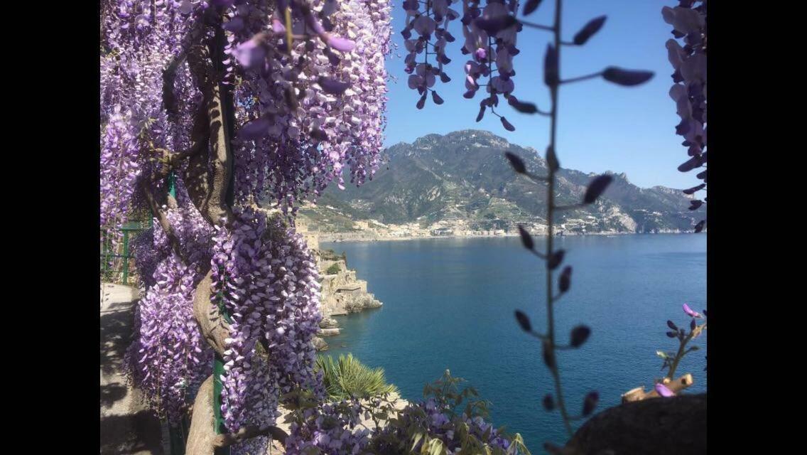 Villa Petit Ludovica Ravello Zewnętrze zdjęcie